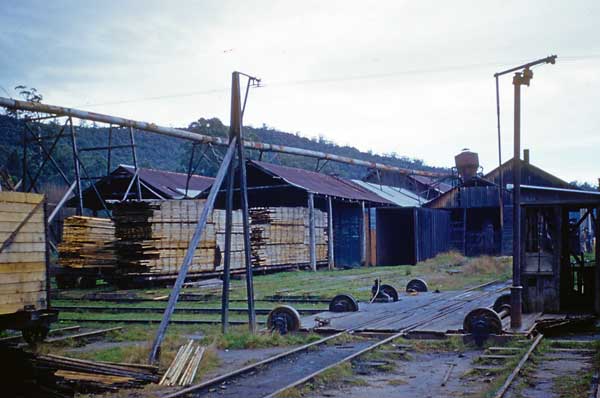Powelltown sawmill 1967